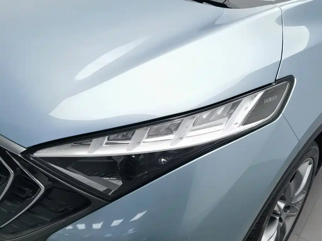 Haima Haima 7X — миниатюра 7