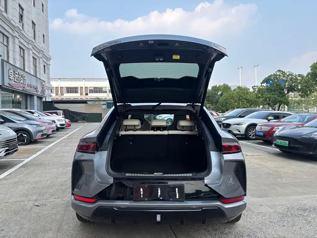 BYD L EV — миниатюра 14