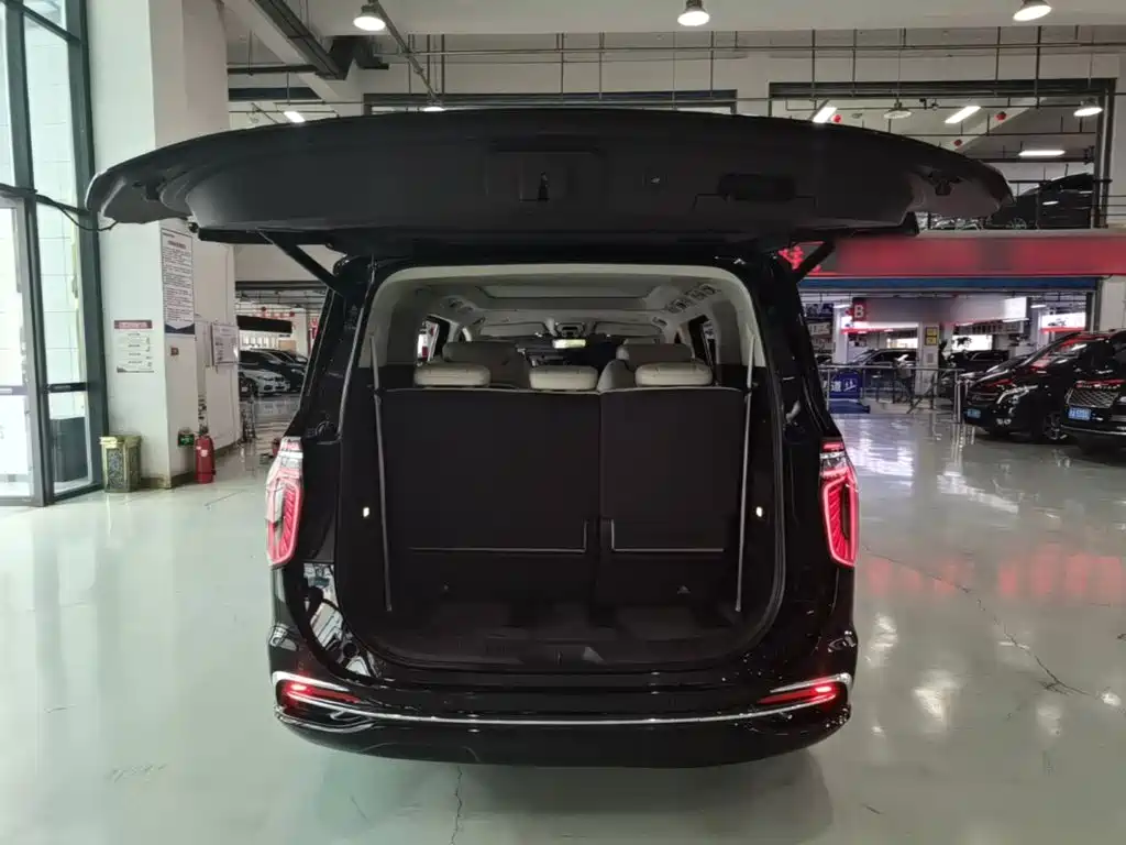 Hongqi Hongqi HQ9 — миниатюра 19