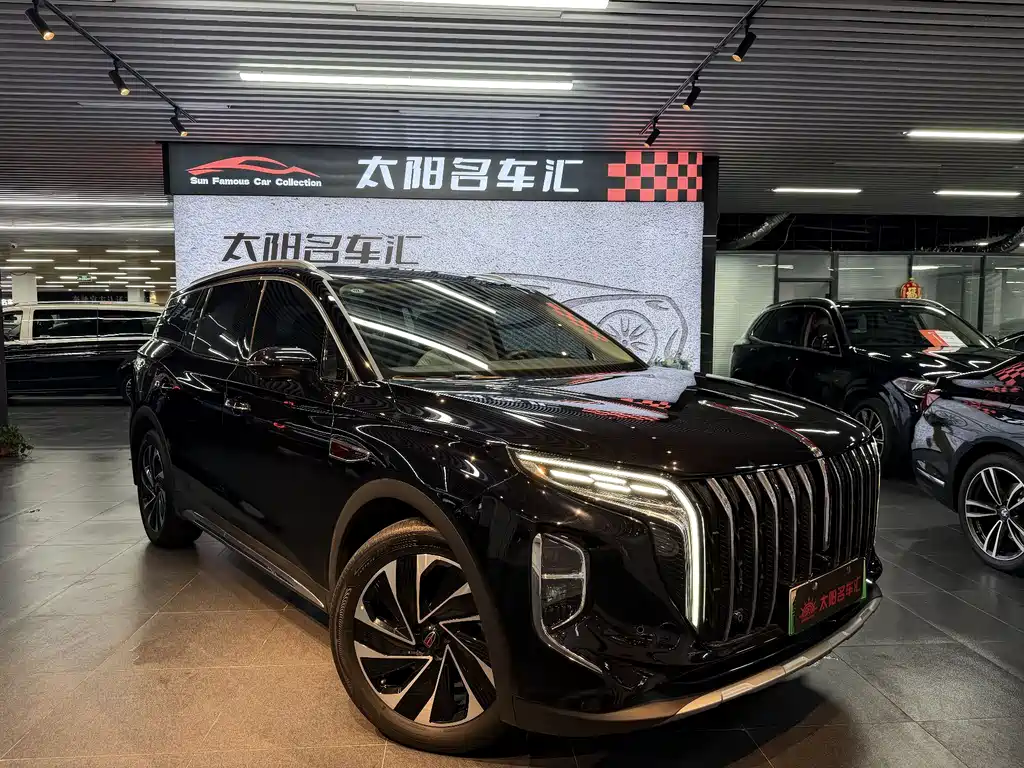 Hongqi HS7 PHEV 2024 2.0T PHEV 6 мест