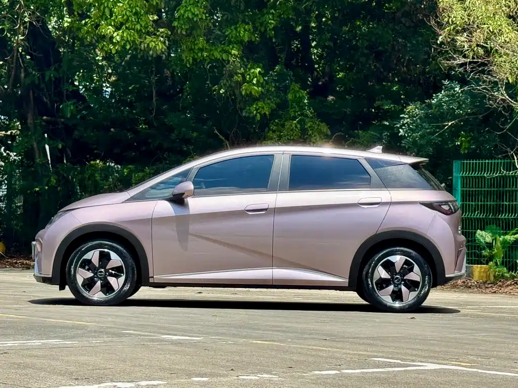 BYD Dolphin 2024 420km Fashion