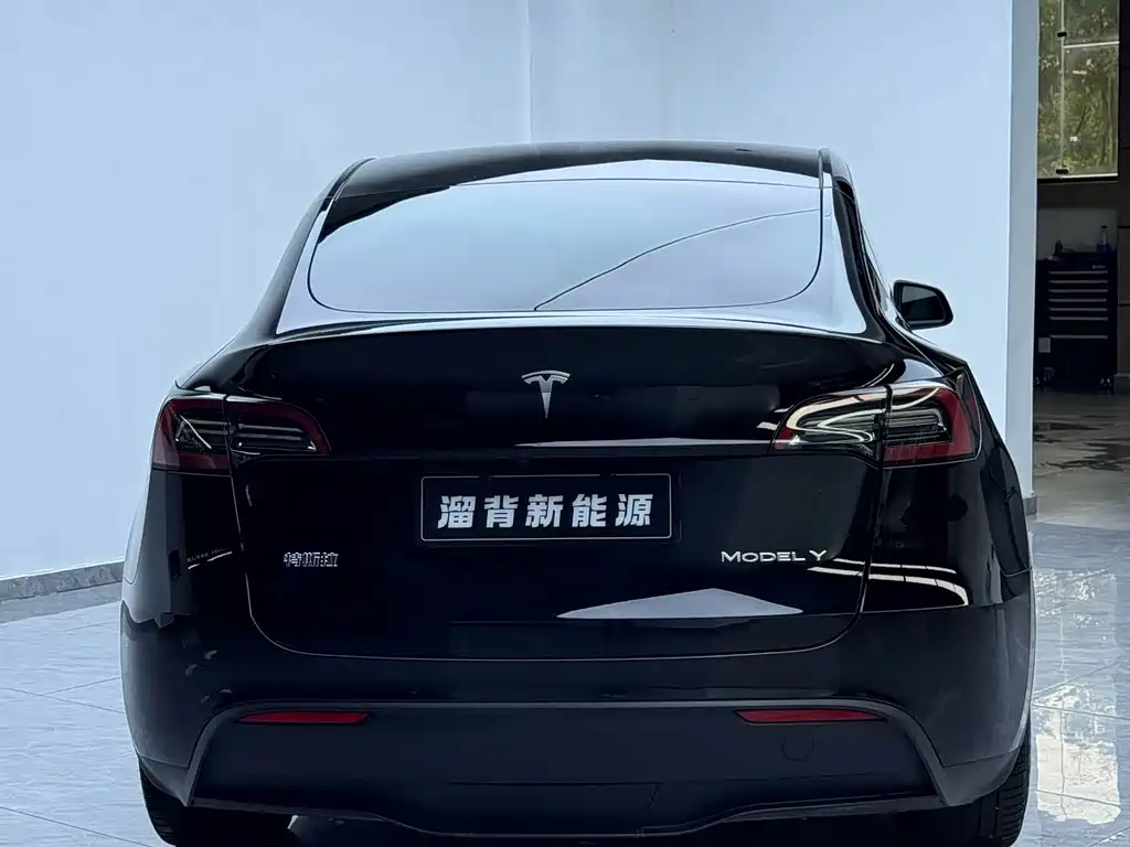 Tesla Model Y — миниатюра 15