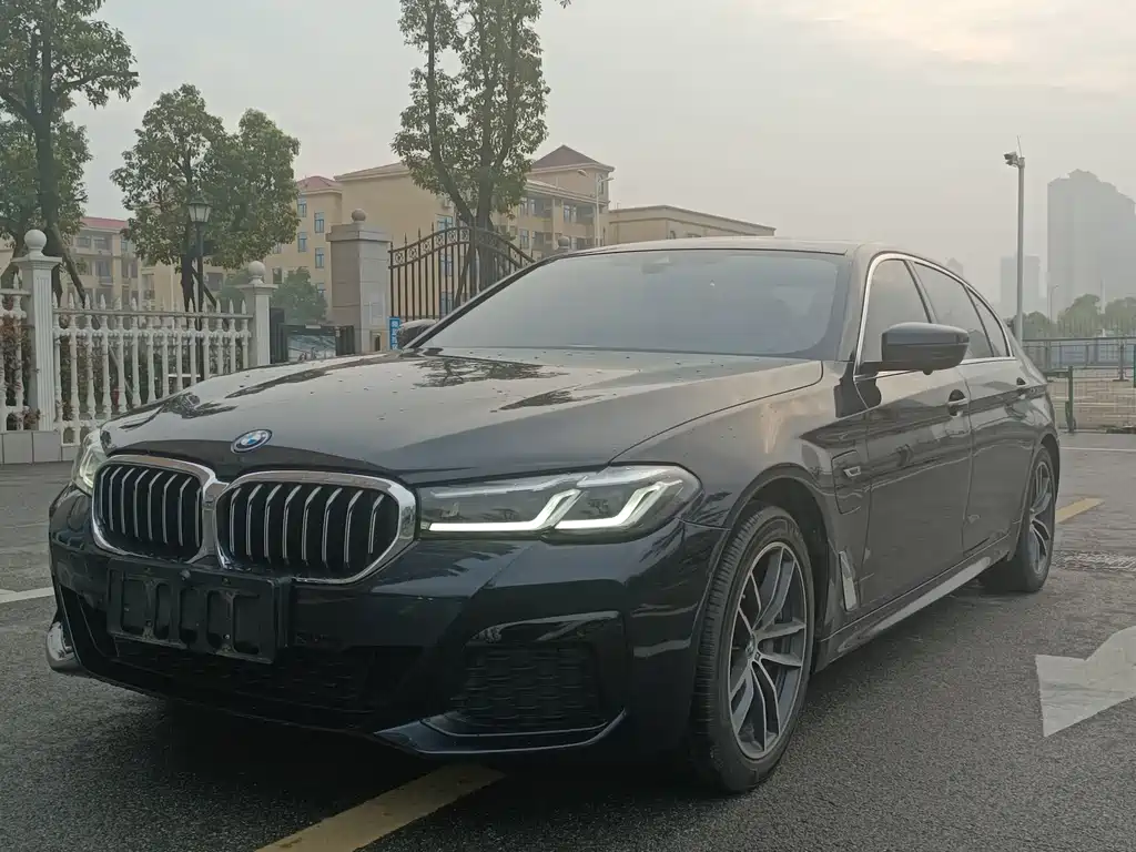BMW 5 Series New Energy 2023