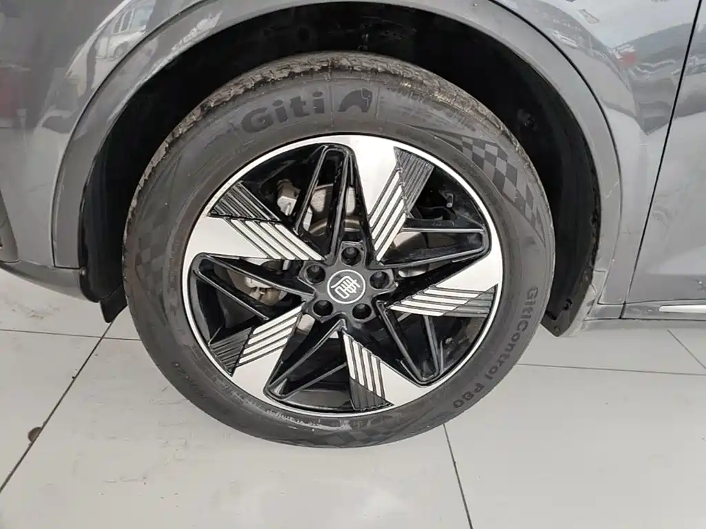 BYD Tang New Energy — миниатюра 23