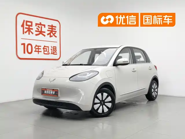 2025 Wuling Motors Binguo