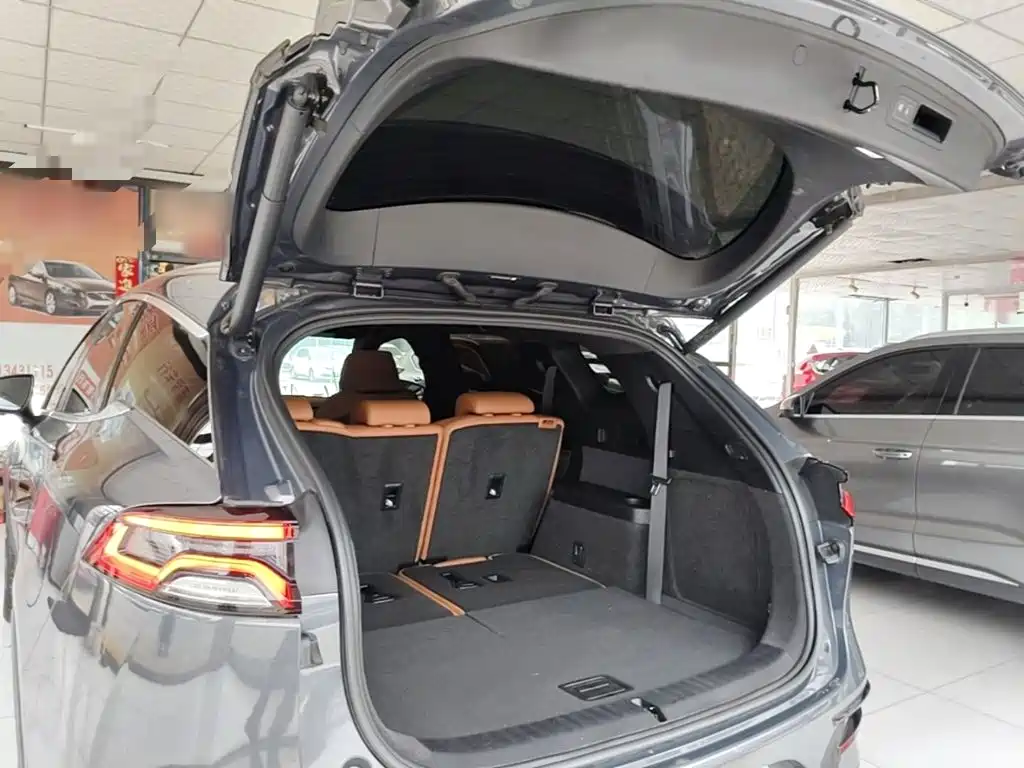 BYD Tang New Energy — миниатюра 19