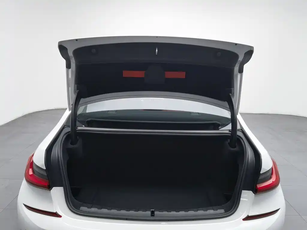 BMW 3 Series — миниатюра 16