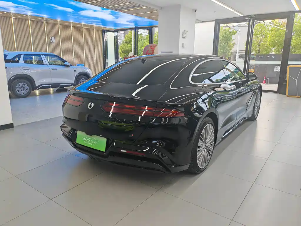 Denza Denza Z9 — миниатюра 4