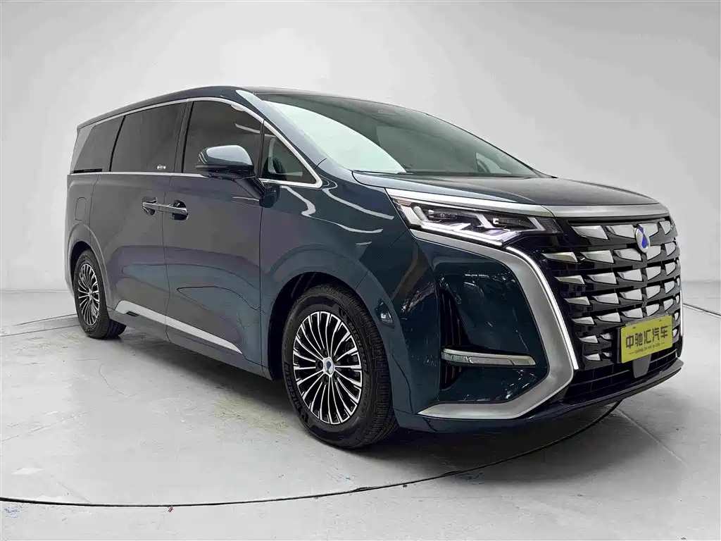 Denza Denza D9 — миниатюра 3
