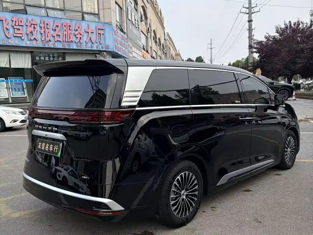 Denza Denza D9 — миниатюра 6