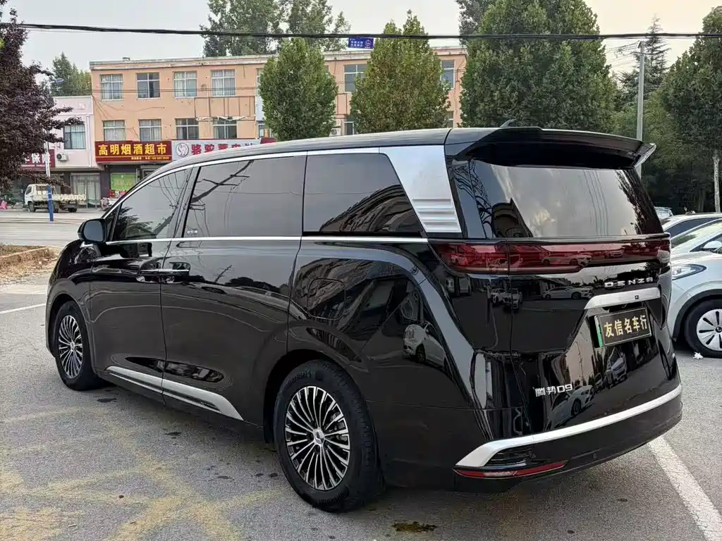 Denza Denza D9 — миниатюра 5