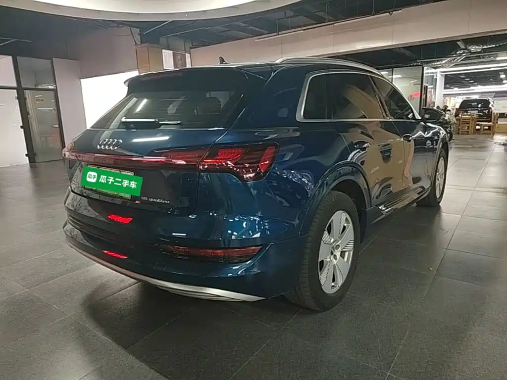Audi e-tron (Import) — миниатюра 7