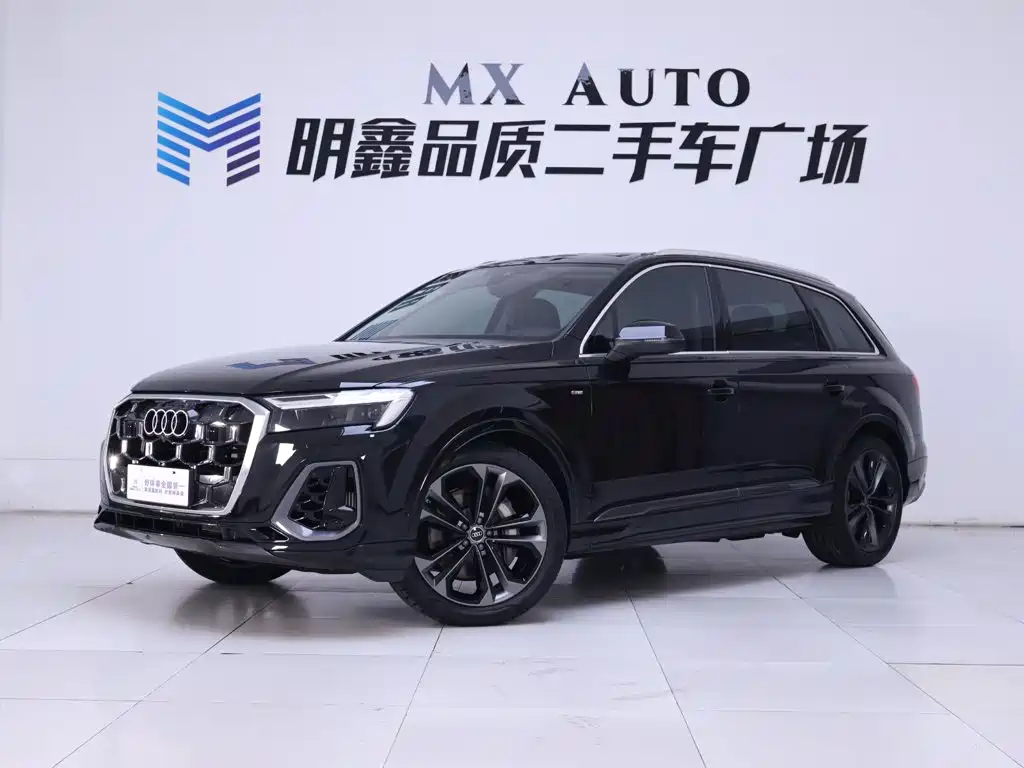 Audi Q7 — миниатюра 2