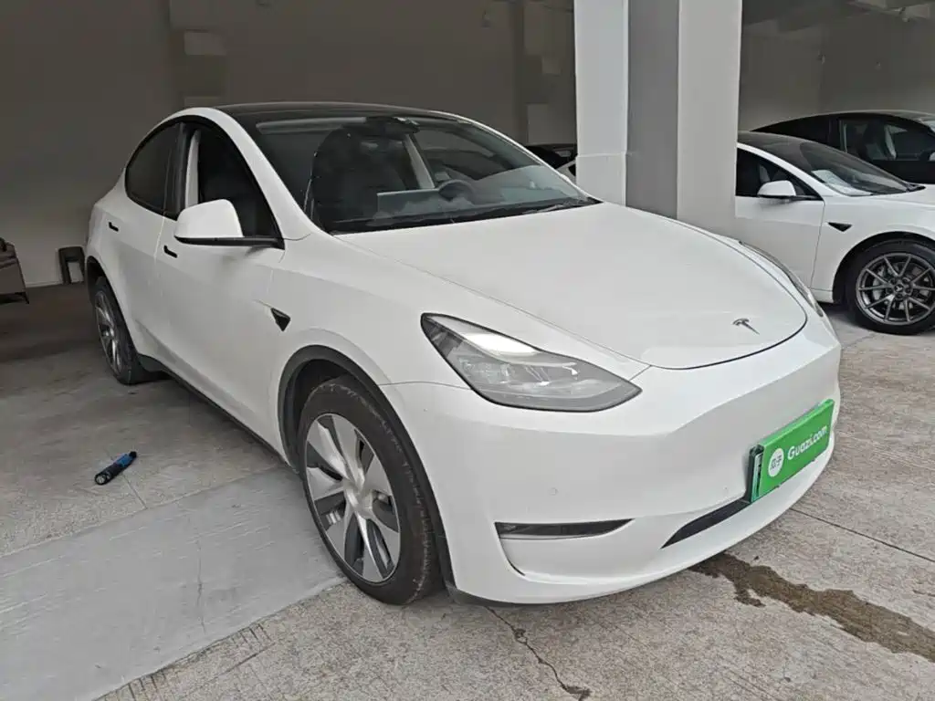 Tesla Model Y — миниатюра 4