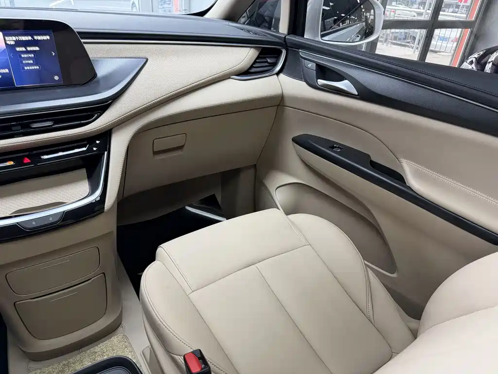 Buick GL8 — миниатюра 11