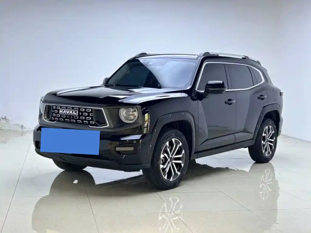 Haval Big Dog 2024