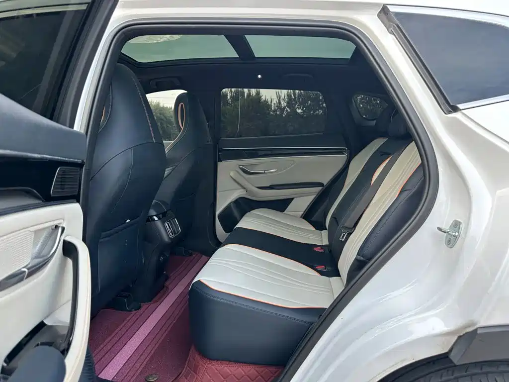 BYD PLUS New Energy — миниатюра 10
