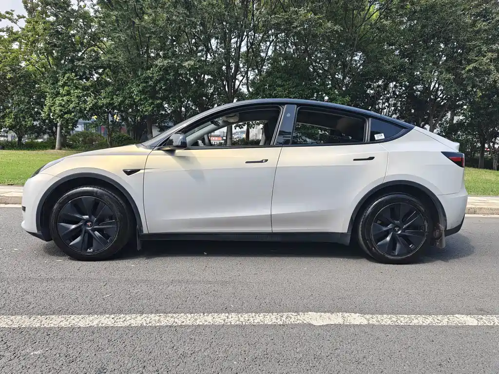Tesla Model Y — миниатюра 3