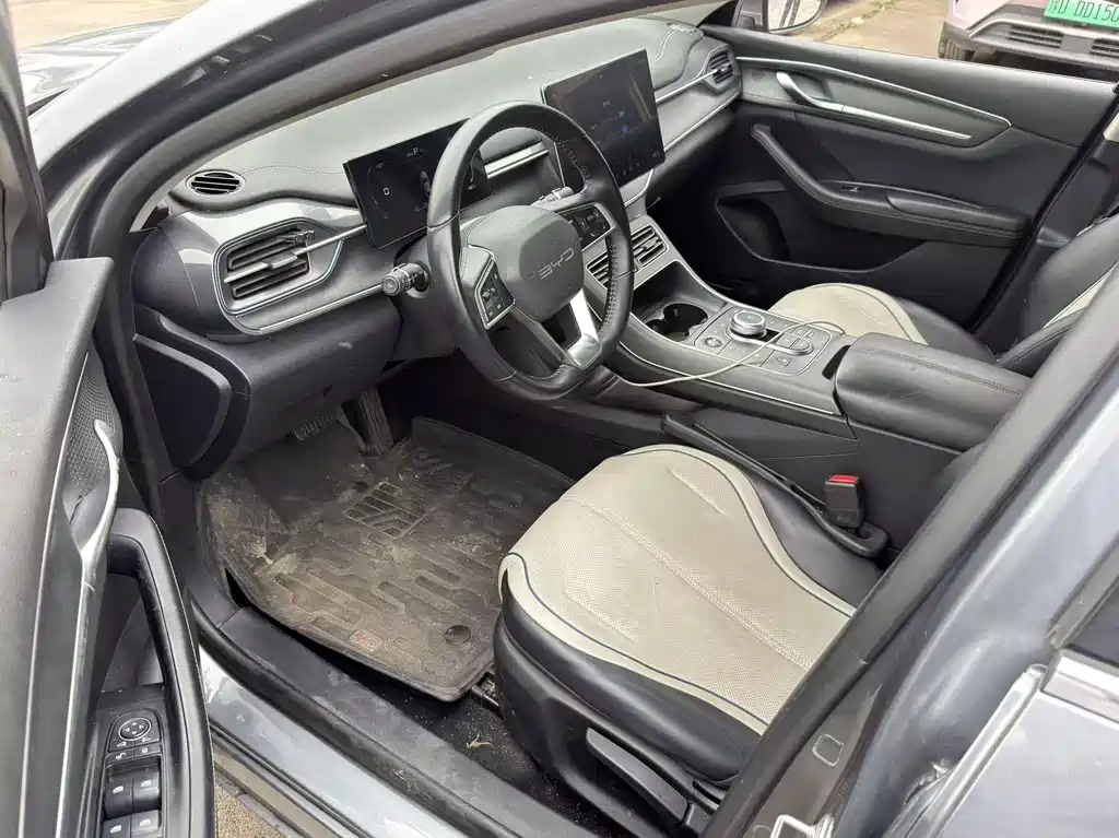 BYD Destroyer 05 2024 DM-i 55KM Luxury