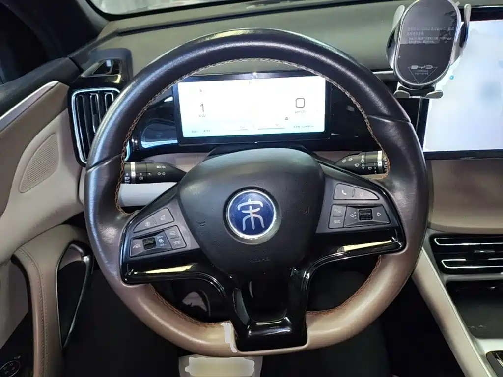 BYD Pro New Energy — миниатюра 11