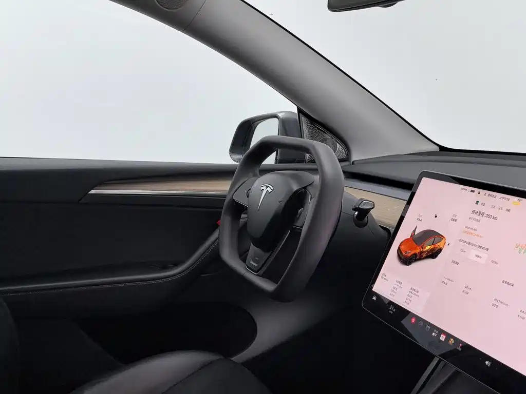 Tesla Model Y — миниатюра 22