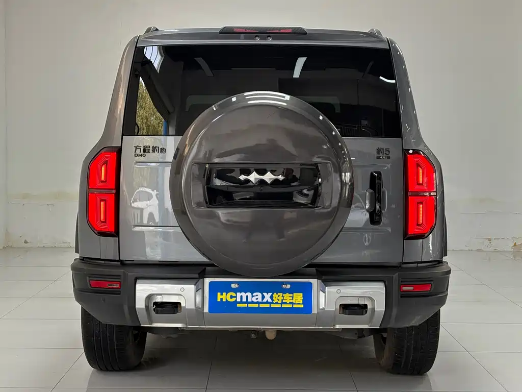 FANG CHENG BAO LEOPARD 5