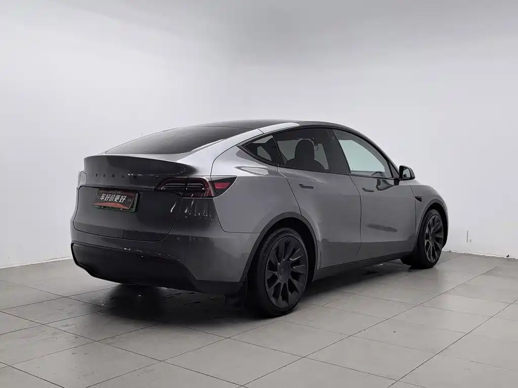 Tesla Model Y — миниатюра 2