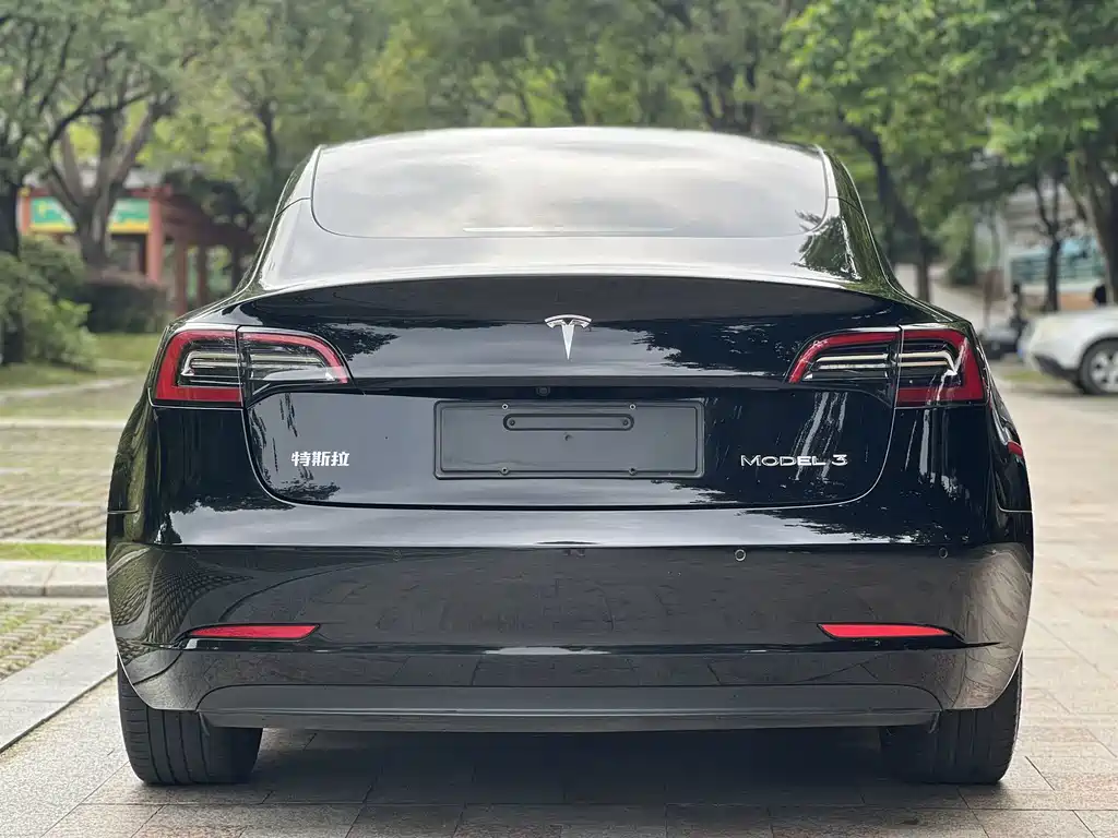 Tesla Model 3 — миниатюра 19