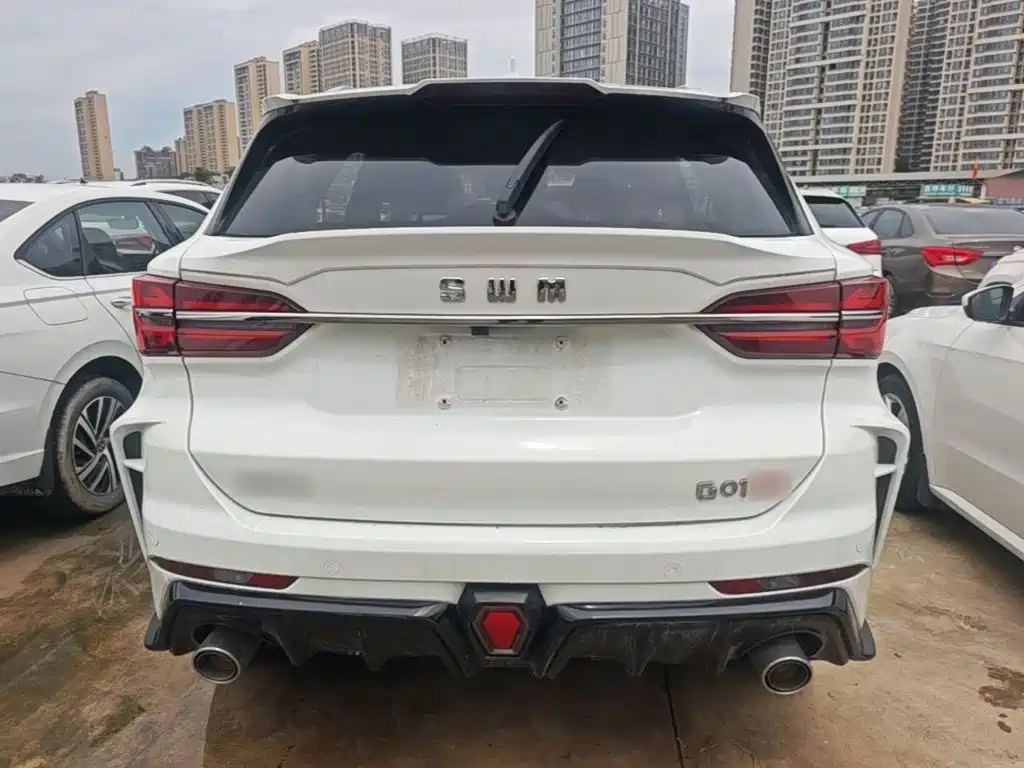 SWM SWM G01 — миниатюра 6