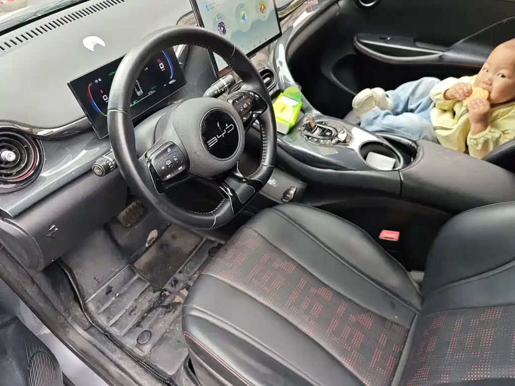 BYD E2 2023 Luxury