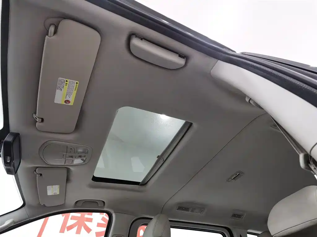 SAIC MAXUS CHASE G10