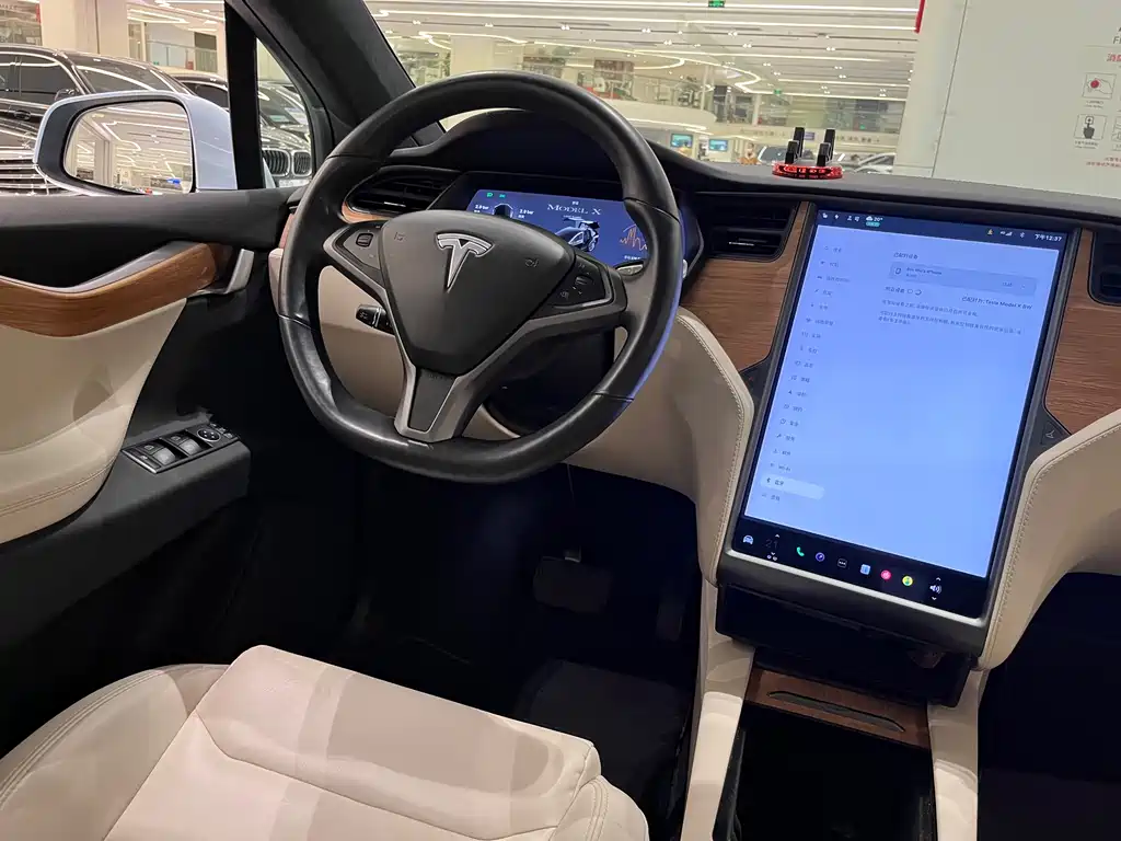 TESLA MODEL X