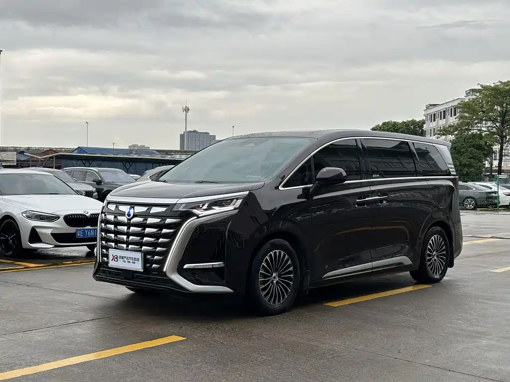 Denza Denza D9