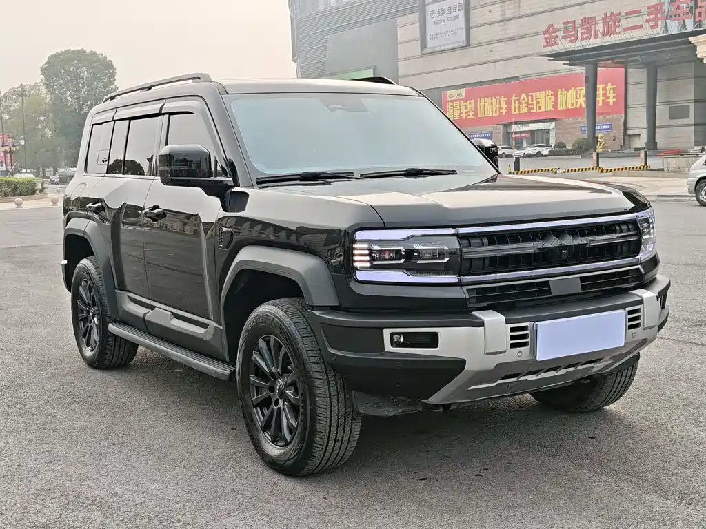 FANG CHENG BAO LEOPARD 5