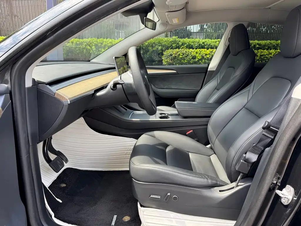 Tesla Model Y — миниатюра 4