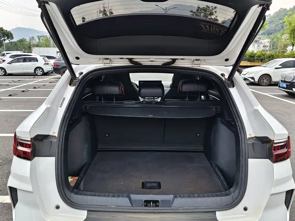 BYD PLUS — миниатюра 17