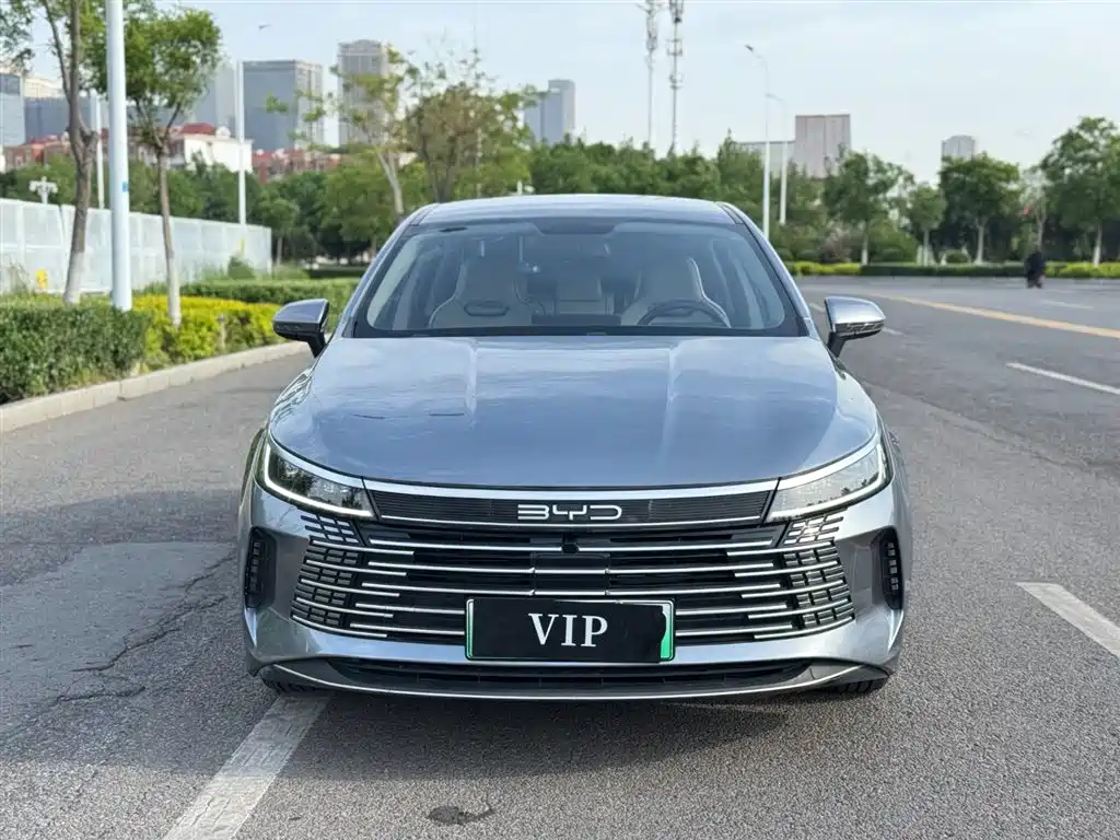 BYD Destroyer 05 2024 DM-i 55KM Luxury