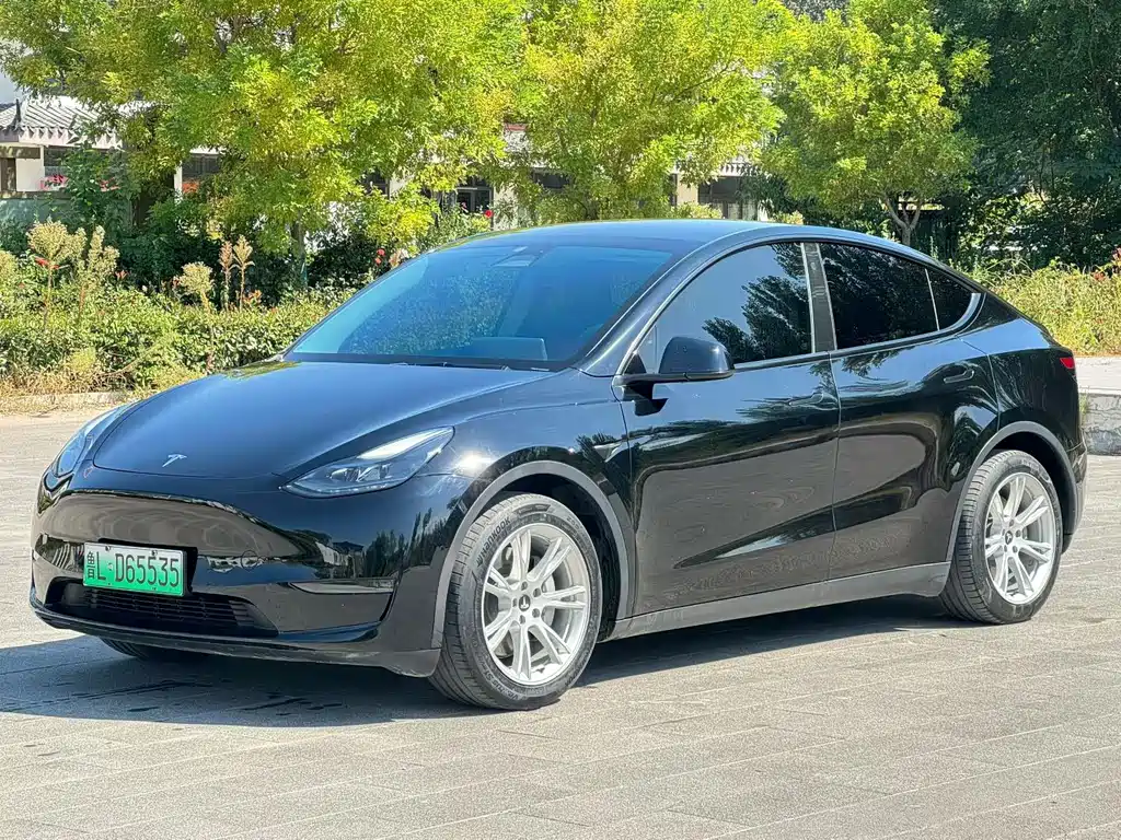 Tesla Model Y — миниатюра 3