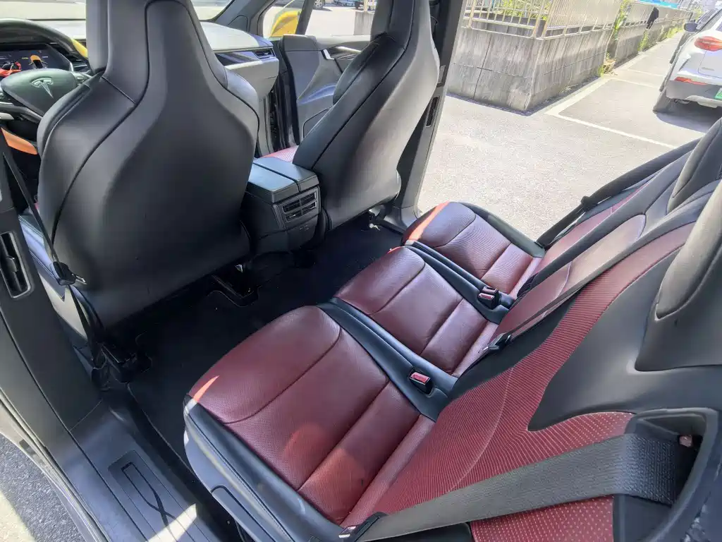 Tesla Model X 2017 Model X 100D