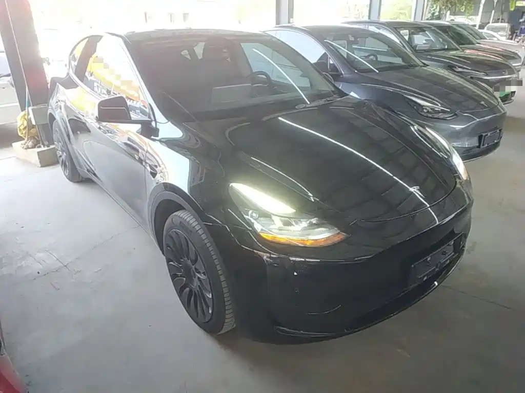 Tesla Model Y — миниатюра 4