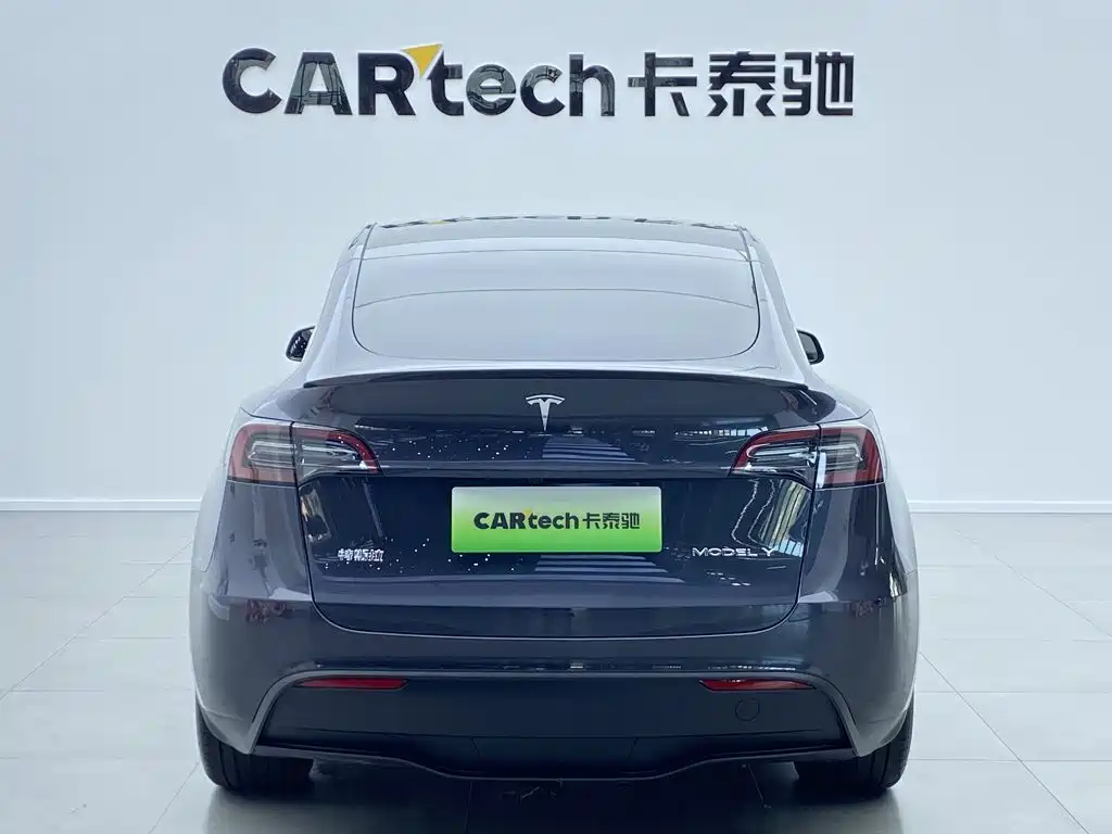Tesla Model Y — миниатюра 4