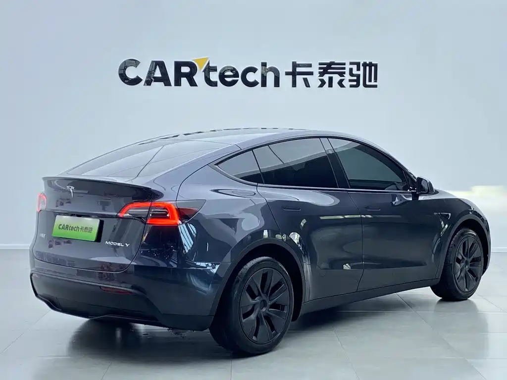 Tesla Model Y — миниатюра 11