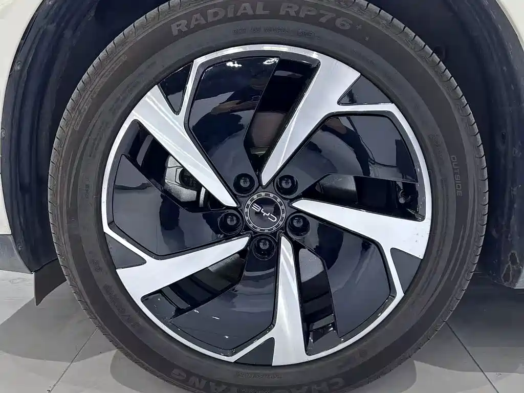 BYD Sealion 06 — миниатюра 3