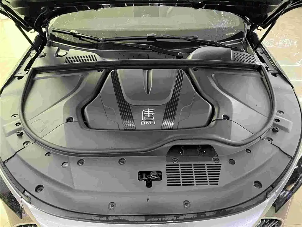 BYD Tang New Energy — миниатюра 12
