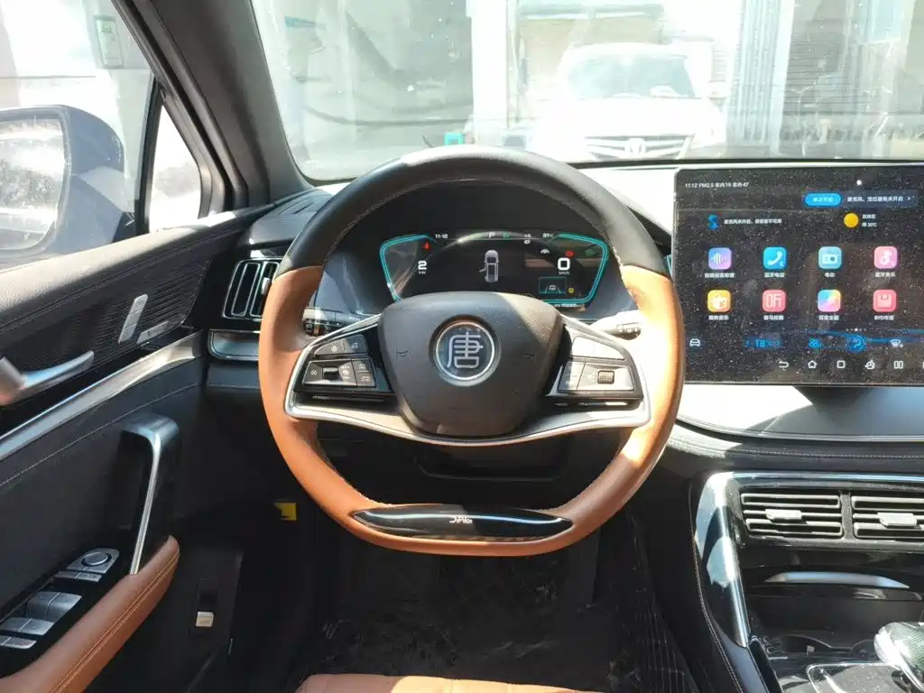 BYD Tang New Energy — миниатюра 11