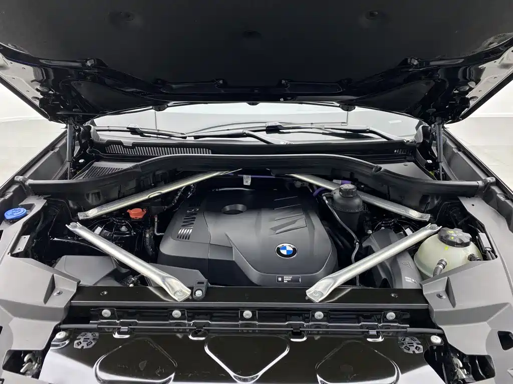 BMW X5 — миниатюра 9