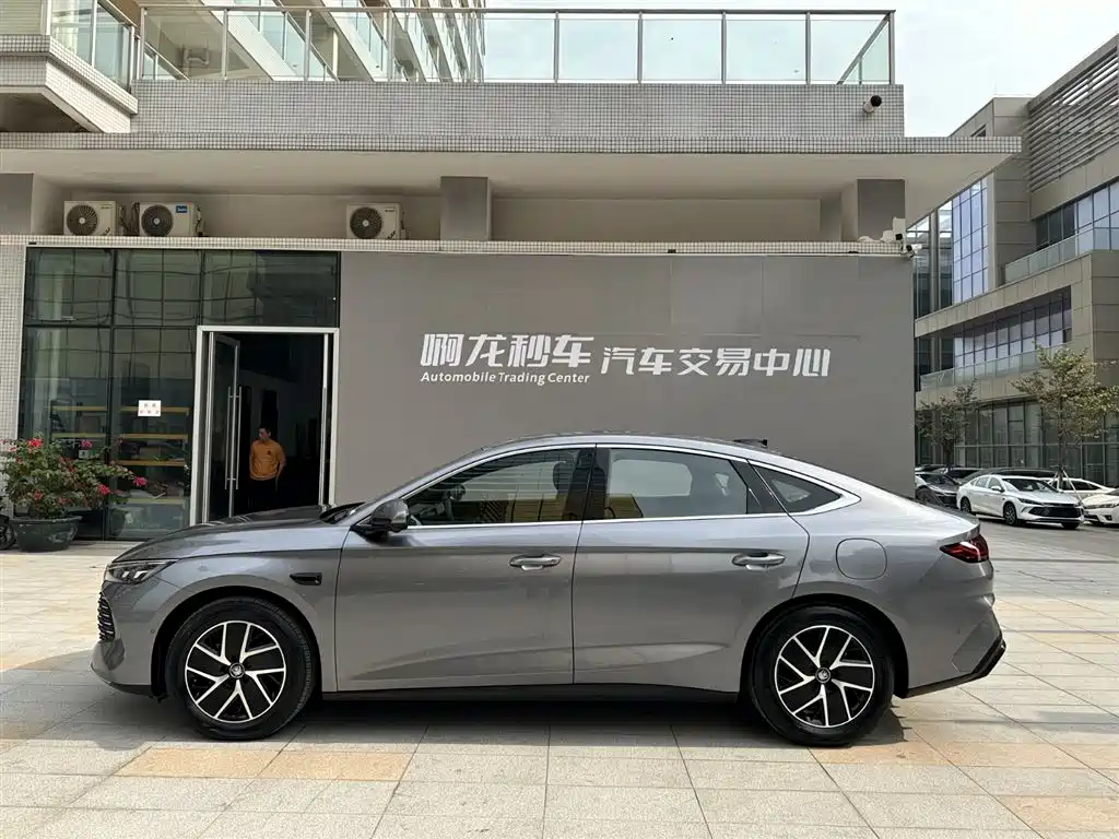 BYD QIN L