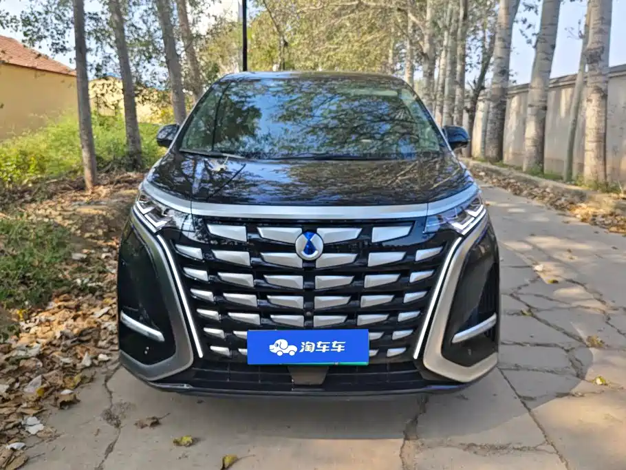 Denza Denza D9 — миниатюра 2