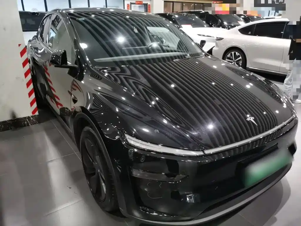 Tesla Model Y — миниатюра 4