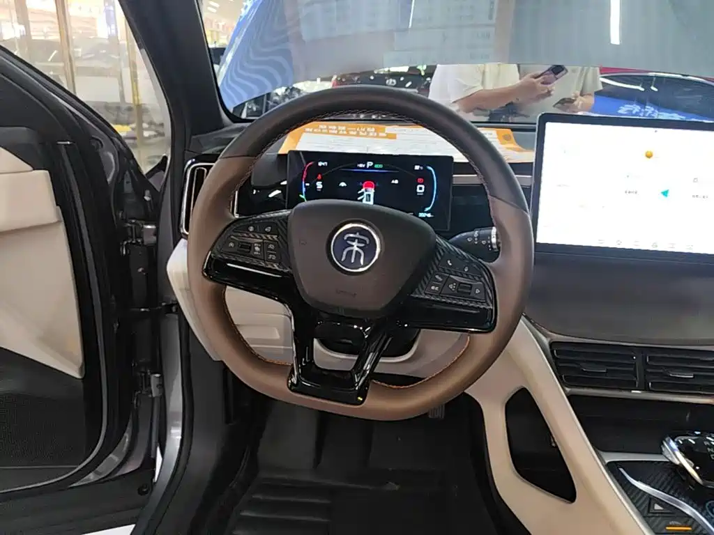 BYD Pro New Energy — миниатюра 11